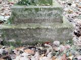 image of grave number 268356
